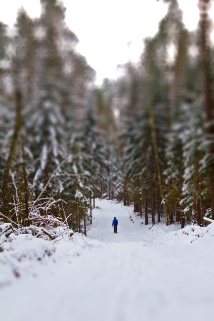 tilt-shift maker